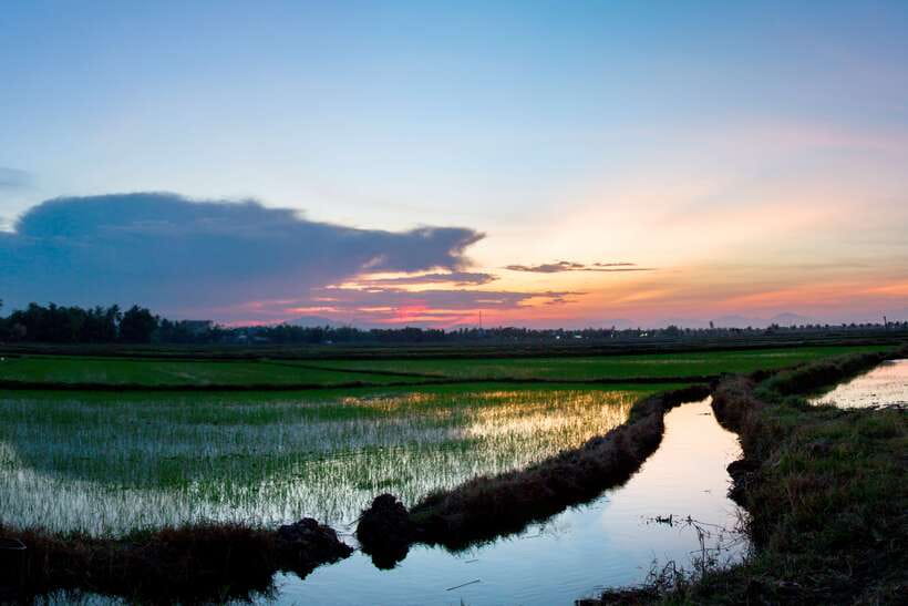 Half-day Hoi An Sunrise Or Sunset Photo Tour - Markets, bridges, and coffee: where the day turns into culture