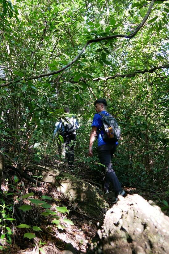Hoi An: Amazing My Son Sanctuary and Mountain Trekking - Jungle Trek With a Hunter-Turned Guide