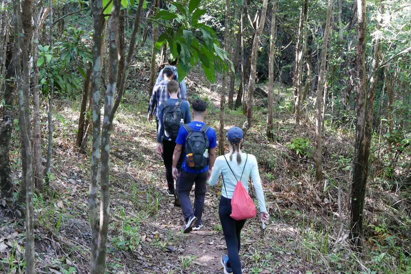 Hoi An: Amazing My Son Sanctuary and Mountain Trekking - Price and Logistics: What $20 Really Covers