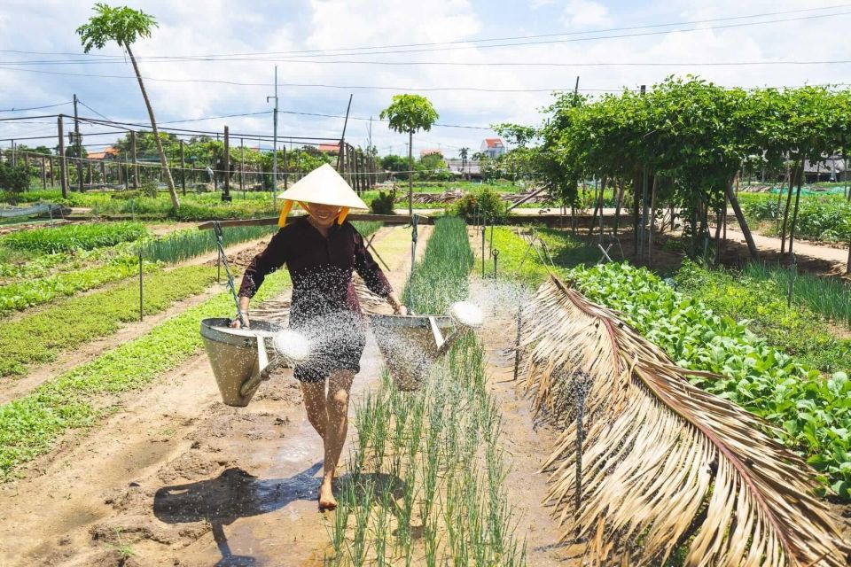 Hoi An: Authentic Cooking class in organic Herb Village - Key Highlights You’ll Care About