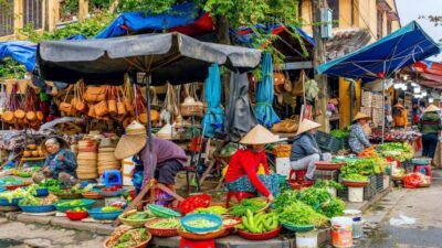 Hoi An: Authentic Cooking class in organic Herb Village - Rice Fields, Animals, and a Bike Ride That Sets the Mood