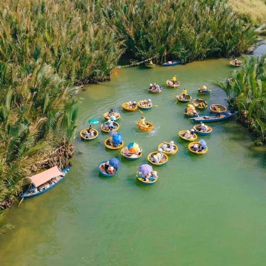 Hoi An : Bamboo Basket Boat Tour with Transportation - Key points I think matter most