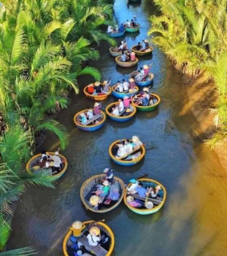 Hoi An: Basket Boat & Discover Cam Thanh Coconut Village - Key Things You’ll Like About Cam Thanh Basket Boat