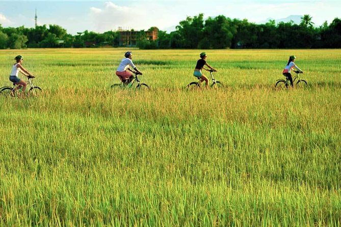 Hoi An Bicycle And Cooking Class Tour - Cooking Hoi An-style food with a village chef: you actually do it