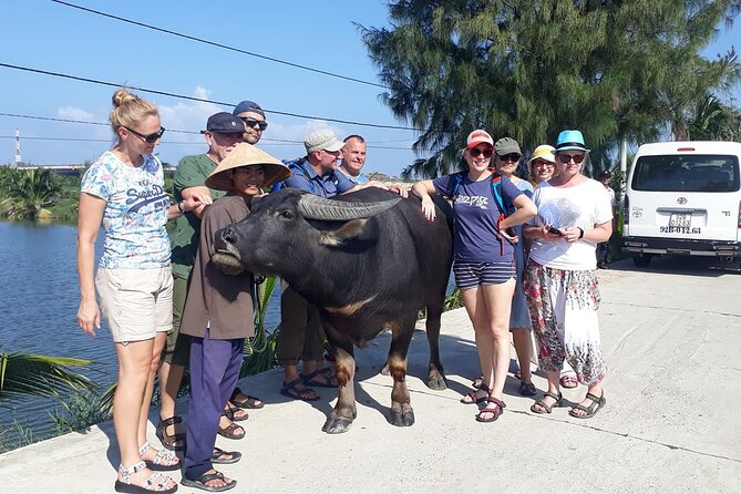 Hoi An Bicycle And Cooking Class Tour - Lunch: big, local, and tied to what you learned
