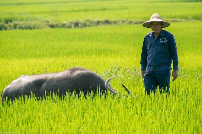 HOI AN Biking River Islands, Villages, Local Crafts PRIVATE TOUR - Incense sticks by hand: a craft visit that feels personal