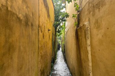 Hoi An Boat Ride and Release Lantern, Night Market Private Tour - Central Market to Old Town: the herbal drink and the quick orientation