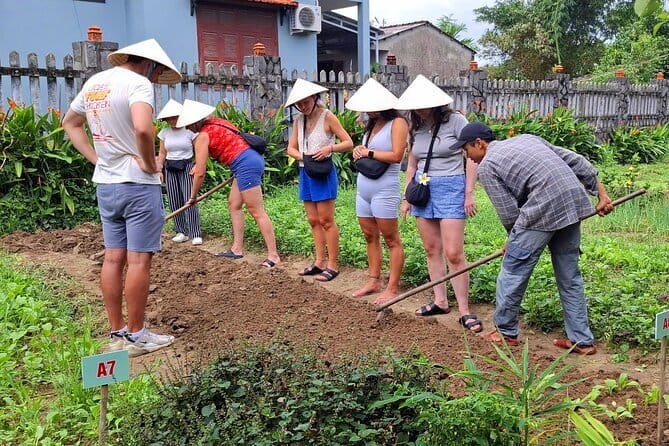 Hoi An Cooking Class & Vespa Cooking Adventure Tour - A Morning Vespa Ride Through Rice Fields and Village Roads