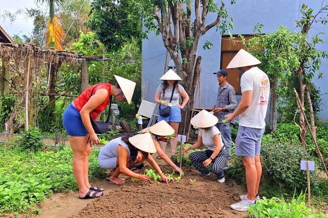 Hoi An Cooking Class & Vespa Cooking Adventure Tour - Price and Value: Why $29 Can Make Sense Here