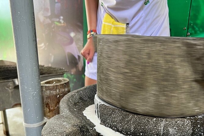 Hoi An cooking class with Basket Boat Tour - What You’ll Cook (and Why It Tastes Like It Should)