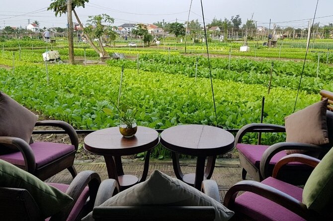 Hoi An Cooking Class With Market Tour and Bamboo Basket Boat Ride - Tra Que Village gardens: where the cooking makes sense