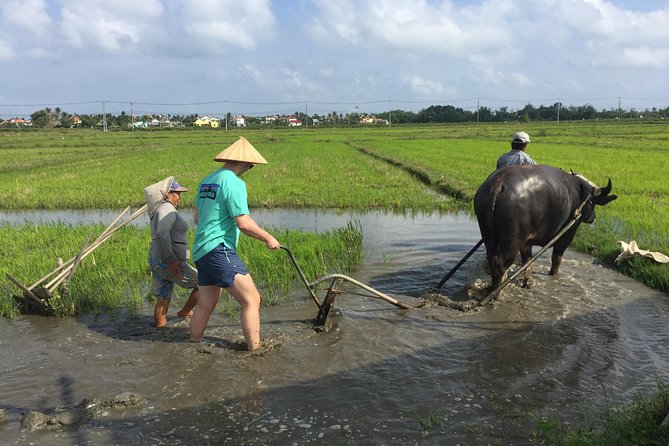 Hoi An Countrylife Tour Experience & Vietnamese Set Menu - A countryside day built around three working villages