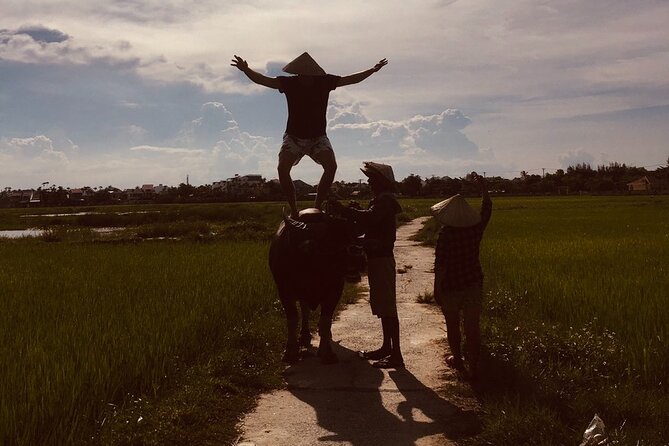 Hoi An Countrylife Tour Experience & Vietnamese Set Menu - Should you book this Hoi An countrylife tour?