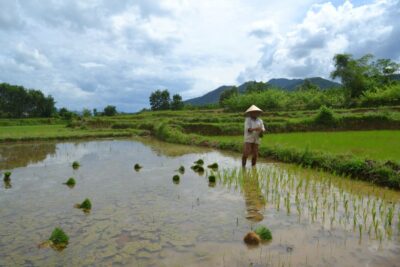 Hoi An Countryside Bicycle Tour : 25 Km Real Vietnam - The Thu Bon River Boat Ride That Sets the Tone