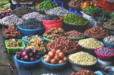 Hoi An Countryside bike tour, Basket boat and Cooking class - Choosing morning (08:00) vs afternoon (14:00) time slots