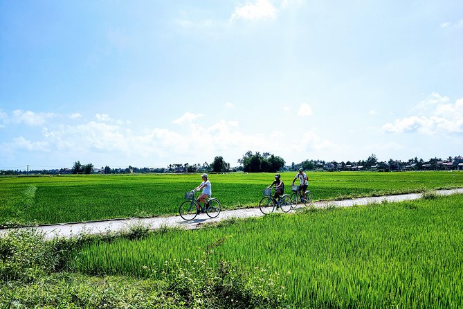 Hoi An Countryside Biking Tour(Vegetable village -basket boat - fishing village) - Basket Boat Time in the Coconut Palms: The Scenic Reset