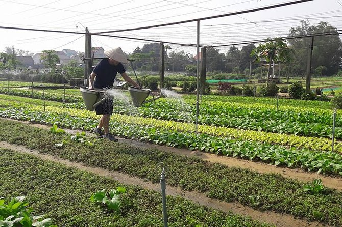 Hoi An Countryside Biking Tour(Vegetable village -basket boat - fishing village) - Who This Tour Suits Best (And Who Should Rethink It)