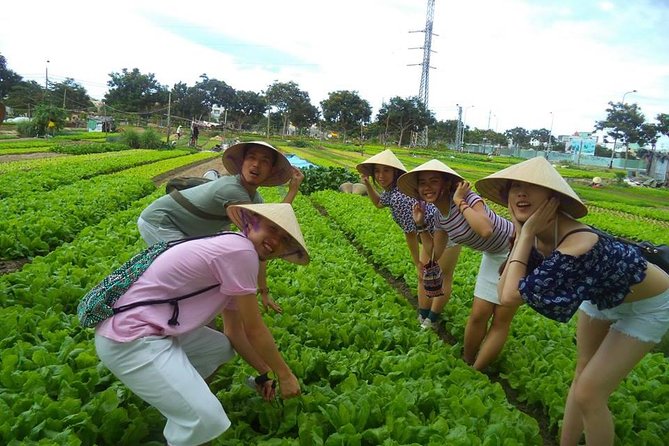 Hoi An Countryside - Buffalo Riding - Basket Boat Rowing - Tra Que Vegetable Village: getting your hands into rural rhythms