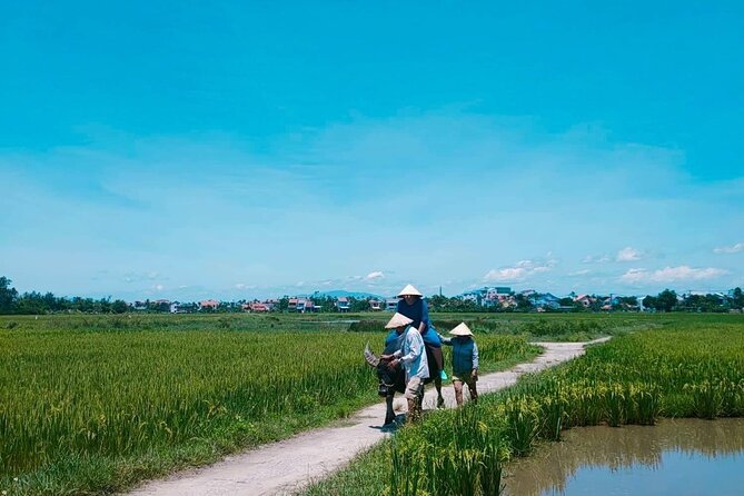 Hoi An Countryside - Buffalo Riding - Basket Boat Rowing - Before you go: what to wear and what to expect outdoors