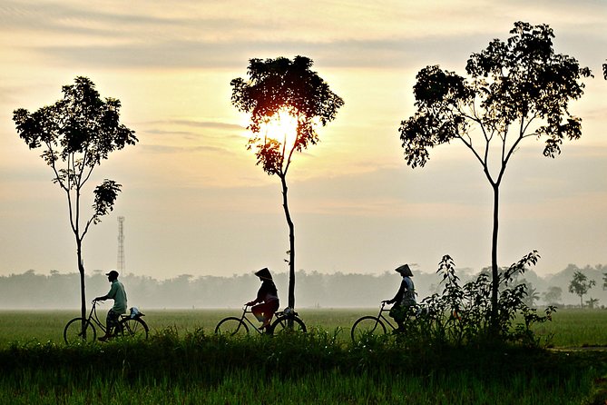 Hoi An Countryside By Bike - Rice Fields and Farmer Life: What You’ll Likely See