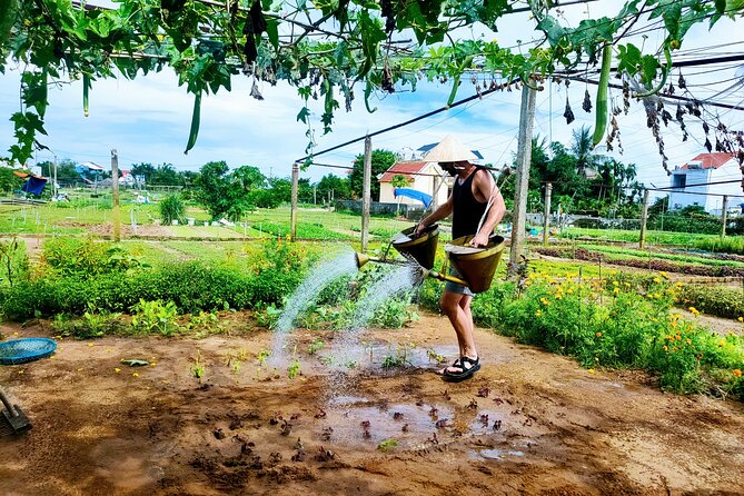 Hoi An countryside cycling tour - Pedal From Your Hoi An Hotel Into Working Countryside