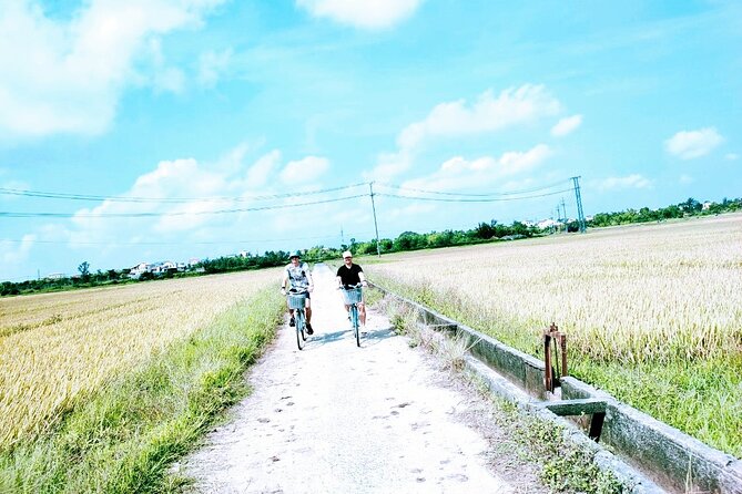 Hoi An countryside cycling tour - Price and Value: What $41 Really Covers