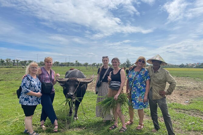 Hoi An countryside cycling Tour,Basket Boat-organic farming-lunch - Cycling Past Rice Fields: Why the Quiet Roads Matter
