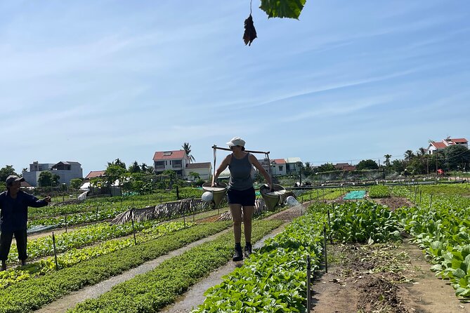 Hoi An countryside cycling Tour,Basket Boat-organic farming-lunch - Lunch in the Middle of Nowhere: What’s Included and Why It Feels Right