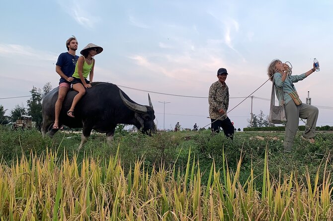 Hoi An Countryside PRIVATE TOUR - Highlights and Hidden Gems - Stop 3: Cam Chau for water buffalo time