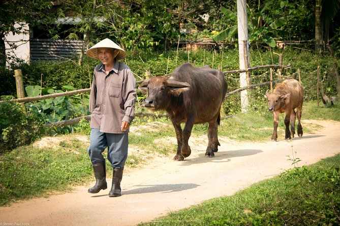 HOI AN Countryside - River Islands - Old Crafts - Local Culture - Tra Que Vegetable Village: herb smells and a calm wrap-up