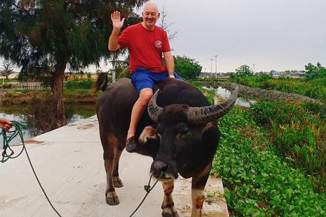 Hoi An Countryside Tour with Bamboo Basket Boat Rowing , Buffalo Ride, Farming - Tra Que Vegetable Village: farming tasks you actually do
