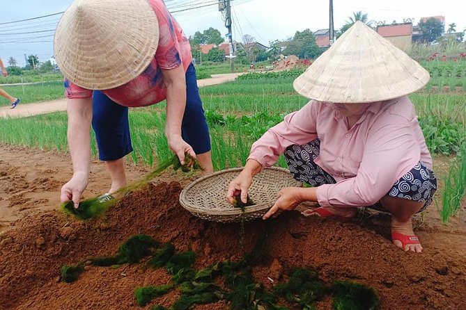 Hoi An Countryside Tour with Bamboo Basket Boat Rowing , Buffalo Ride, Farming - Thanh Ha pottery village: make a cup or vase, then sign your souvenir