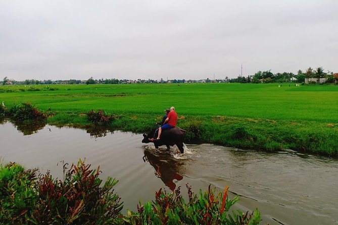 Hoi An Countryside Tour with Bamboo Basket Boat Rowing , Buffalo Ride, Farming - Price and value: is $76.42 worth it for a private 4–5 hours?
