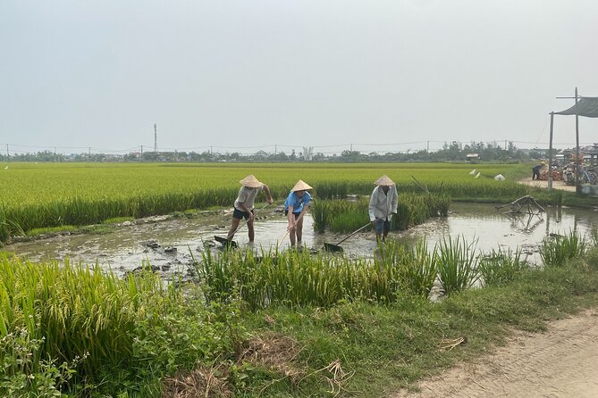 Hoi An Countryside Vespa Tour: Food, Culture & Daily Life - Woodcarving, rice wine, and weaving: what you’re really learning