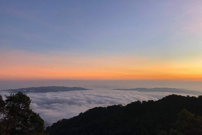 Hoi An/Da Nang guided tour to BANA HILLS with Cham Cham Travel - Fairy Tales, Jardin d’Amour, and Bridge of Love: Flowers That Feel Built for Walking