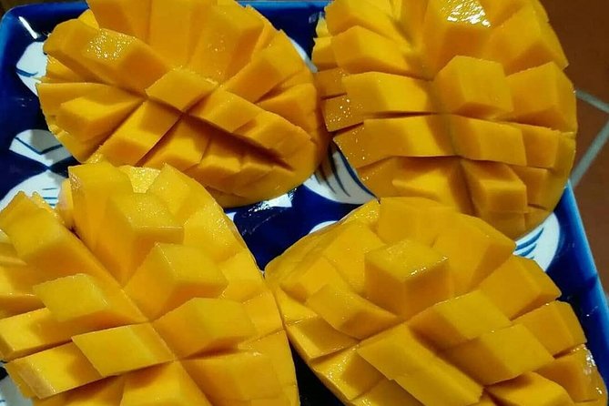 Hoi An/Da Nang: Vegetarian Cooking Class & Basket Boat Ride - Best time to go and who this tour suits best