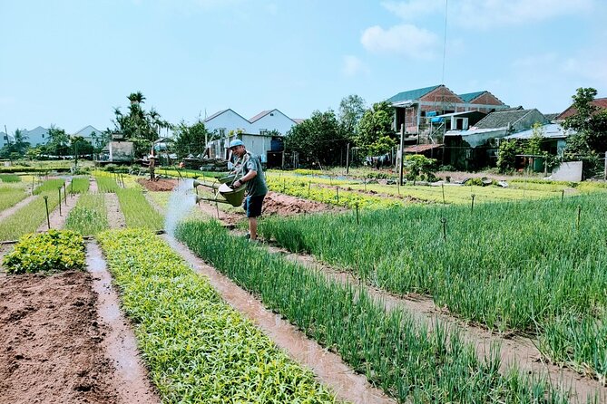 Hoi An Eco-Biking Tour - Who should book this Hoi An eco-biking tour (and who might prefer something else)