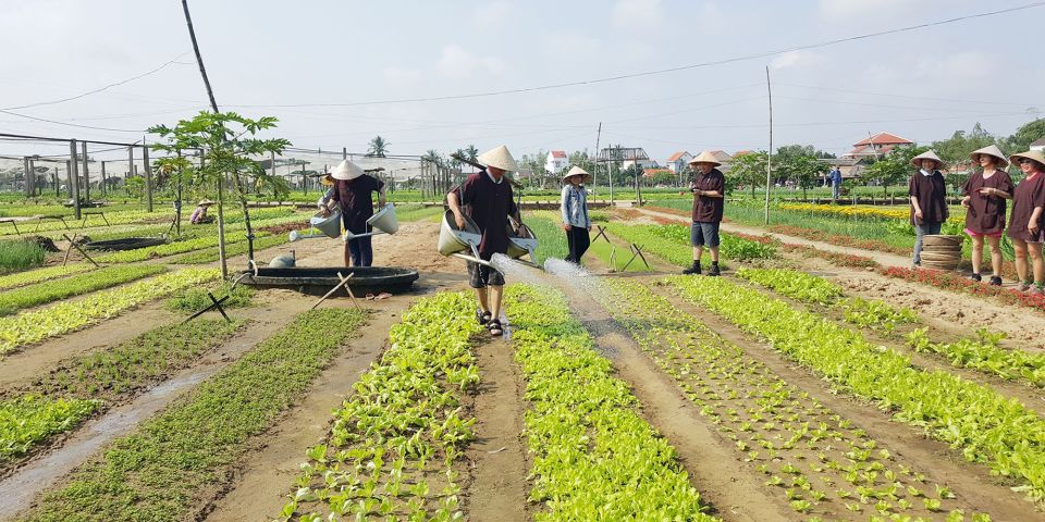 Hoi An: Evening Cooking Class with Locals in Herbs Village - Should you book the Hoi An evening cooking class in Tra Que?
