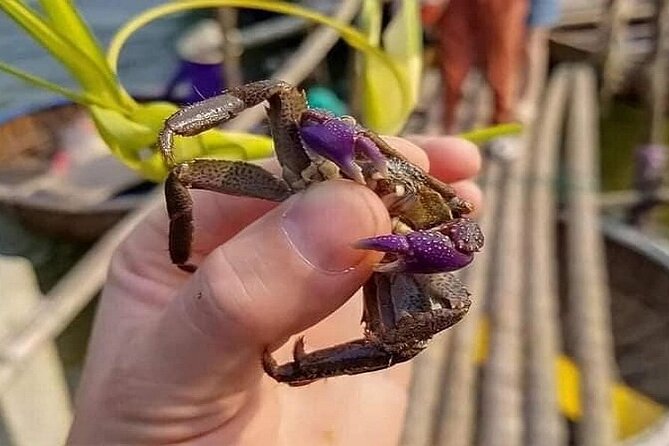 Hoi An Fishing Tour Private-Lantern /Cafe Making Class by Lunch - How This 3.5-Hour Hoi An Tour Feels: Fishing, Coffee, and a Lantern You Keep