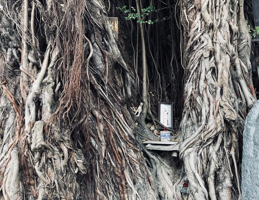 Hoi An Ghosts, Death, Mystery Unveiled - Wells, House Spirit Protection, and Why Taboos Matter