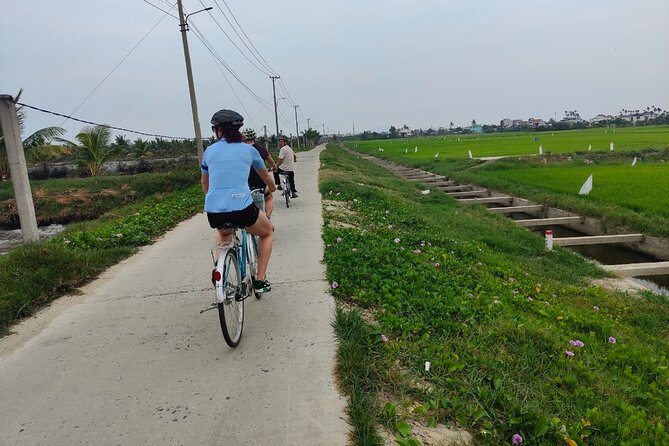 Hoi An Half-Day Bicycle Tour: Visit Herb Village, Row Basket Boat - Key Highlights You’ll Actually Feel