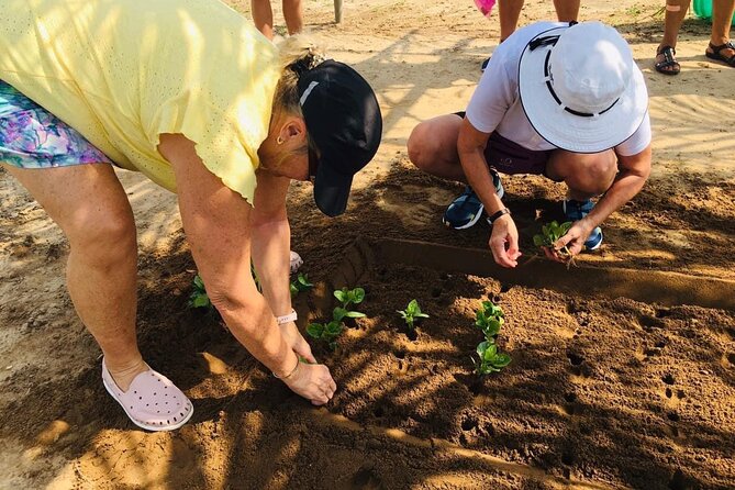 Hoi An Local Market and Vegetable Village Cooking Class - A half-day with real food skills, not just sightseeing