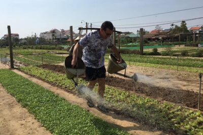 Hoi An Local Market and Vegetable Village Cooking Class - Tra Que Vegetable Village: organic greens and the herb education piece