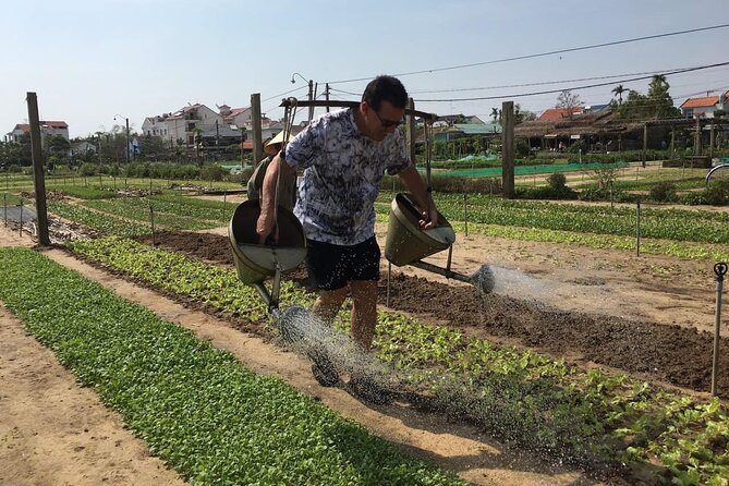 Hoi An Local Market and Vegetable Village Cooking Class - Tra Que Vegetable Village: organic greens and the herb education piece