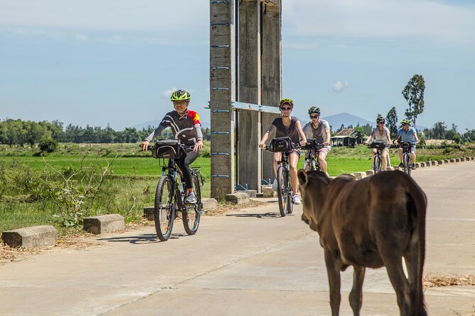 Hoi An Morning Countryside Tour by Bike - The Morning Plan: How a 5-Hour Ride Stays Relaxed