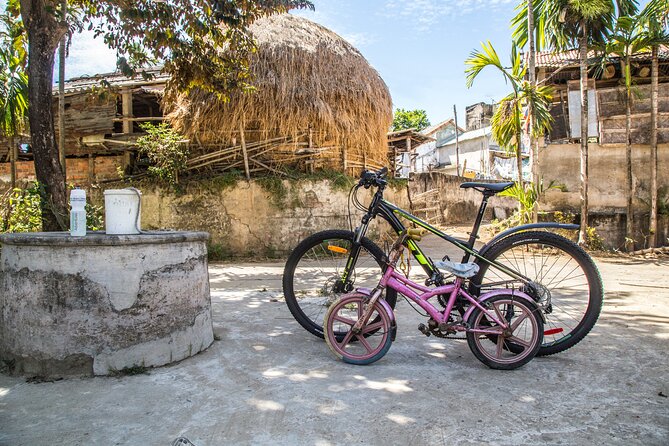 Hoi An Morning Countryside Tour by Bike - Pace, Weather, and Why the Morning Timing Works