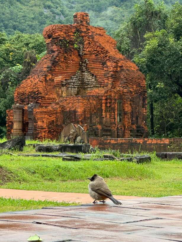 Hoi An: My Son Sanctuary Private Tour with Local Guide - The guide makes the difference: English explanations plus local life stories