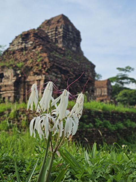 Hoi An: My Son Sanctuary & Sunset River Cruise BBQ or Banhmi - Champa Art Performance: Culture in the Middle of the Ruins