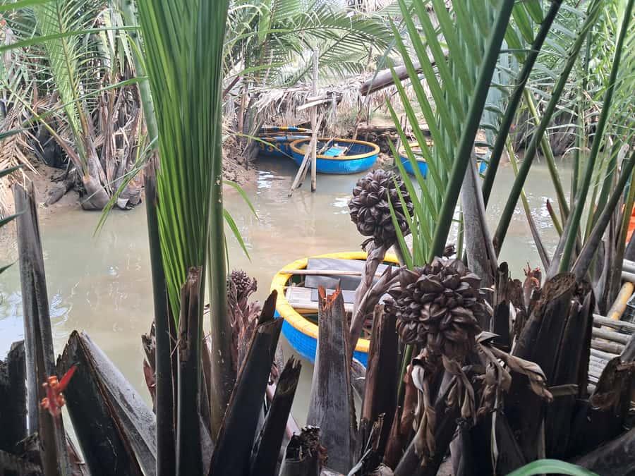 Hoi An: My Son Sanctuary with Basket Boat and Lunch Options - Should You Book My Son Plus Basket Boat in Hoi An?