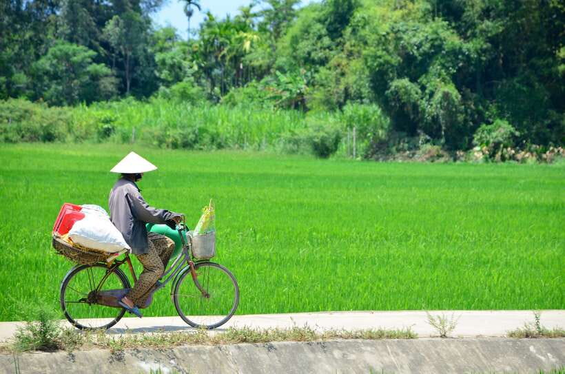 Hoi An: Private Cycling to My Son Sanctuary with Local Guide - Hoi An to the Countryside: Crossing the River and Switching Worlds